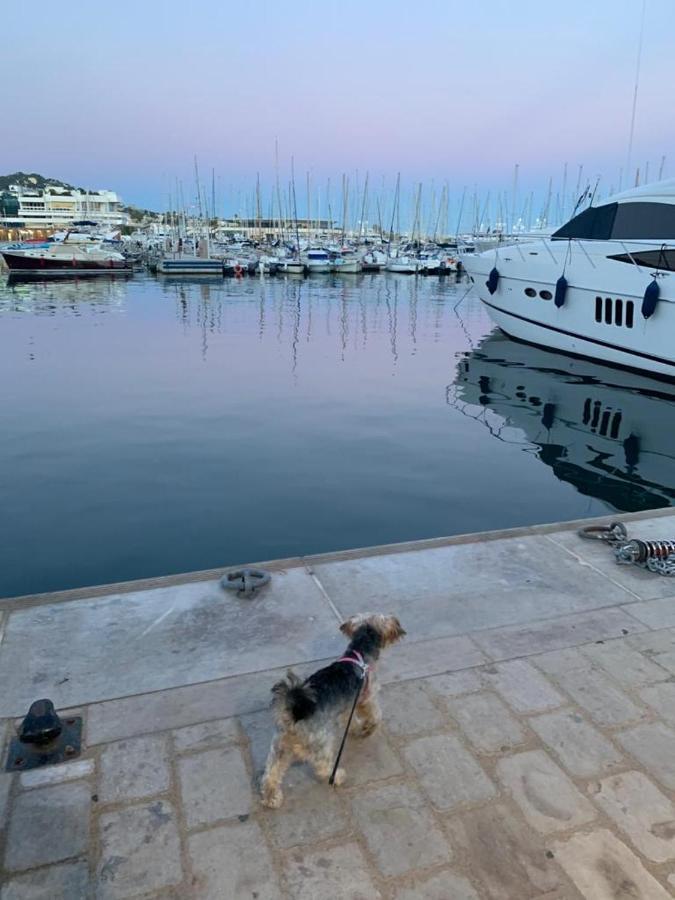 Cannes Old Port, Seafront & Seaview, Yacht Show Port Exterior photo